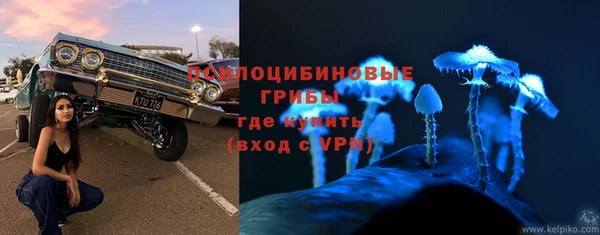 винт Алзамай