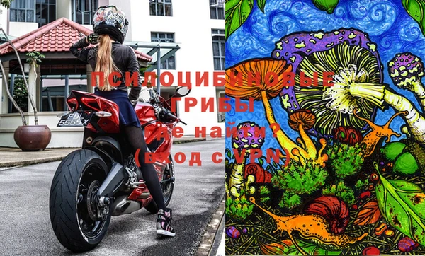 круглые Алексеевка
