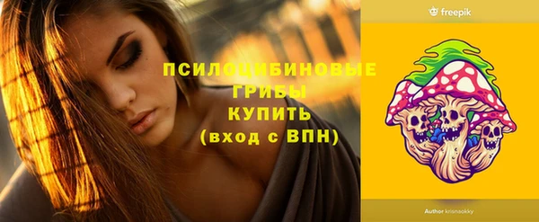 винт Алзамай