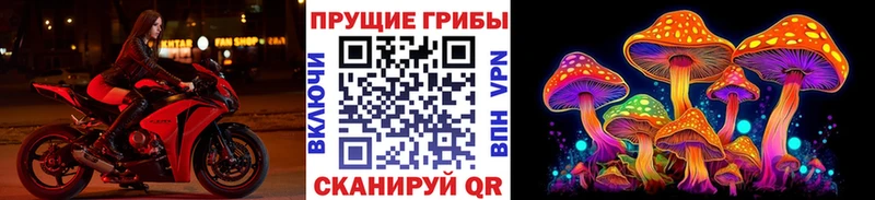 где можно купить наркотик  Бокситогорск  shop Telegram  Галлюциногенные грибы Magic Shrooms 